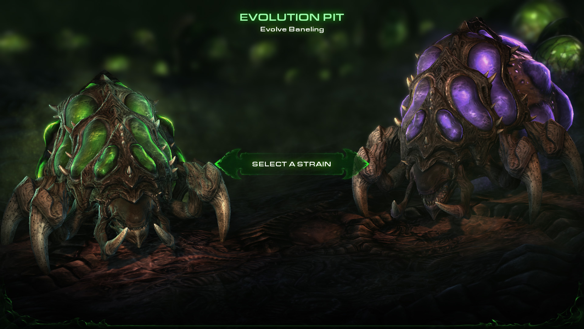 Starcraft 2 Zerg Starcraft 2 Zerg